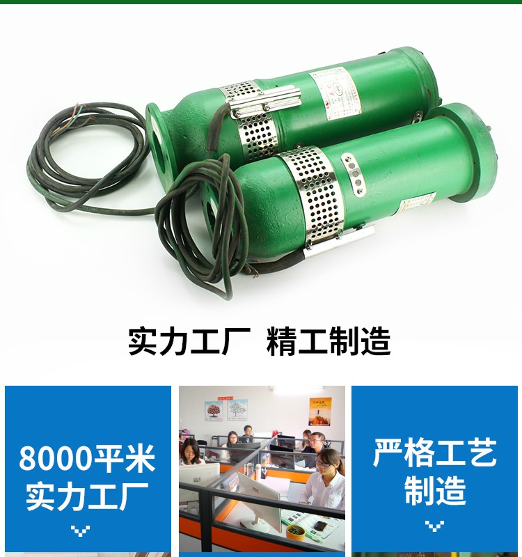 鑄鐵專用噴泉水泵圖片